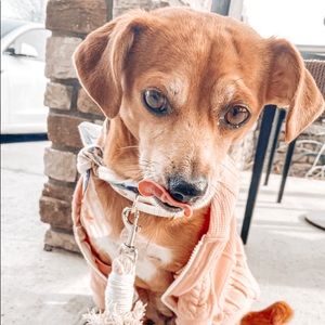 Meet your Posher, Rylee